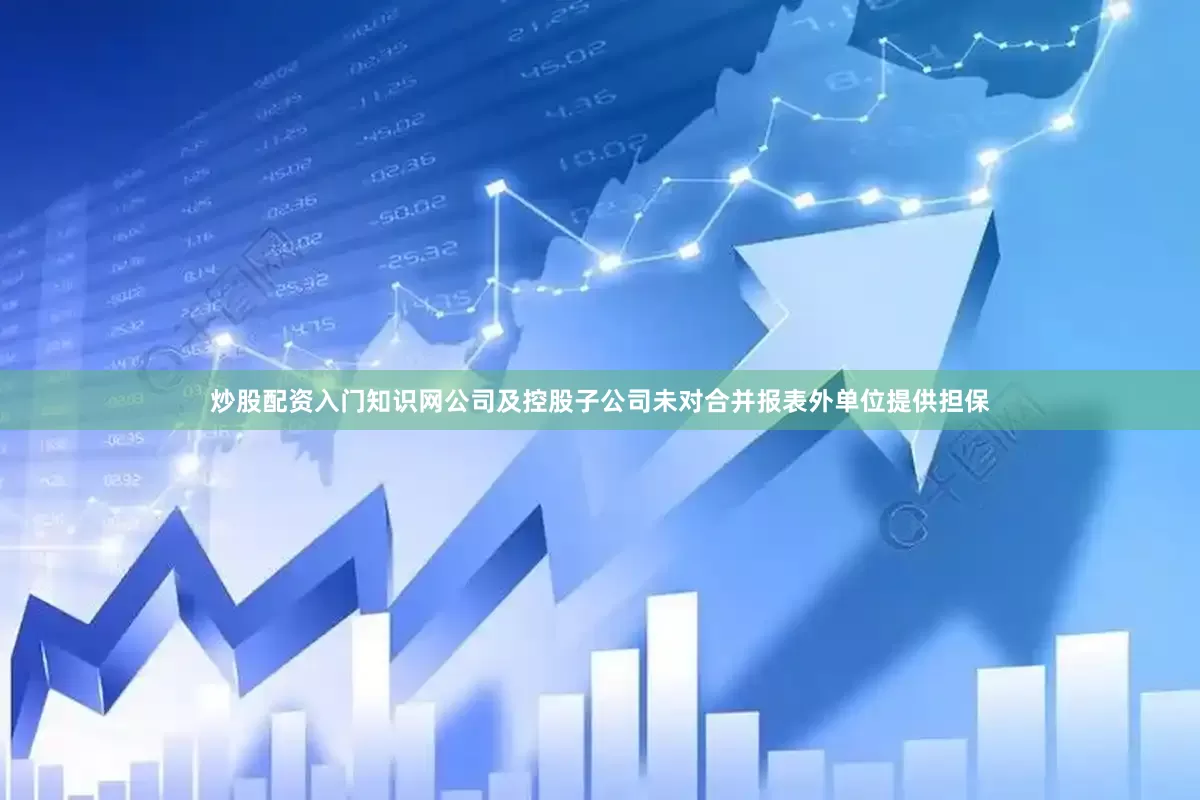 炒股配资入门知识网公司及控股子公司未对合并报表外单位提供担保