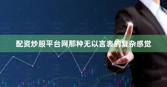 配资炒股平台网那种无以言表的复杂感觉
